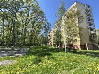 Priestranný 3 izbový byt s nádhernými výhľadmi na p…
