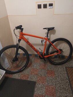 Bike Focus