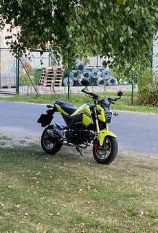 Honda MSX 125 Grom 2017 - 1