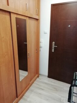 Prenájom 1 - izbového bytu