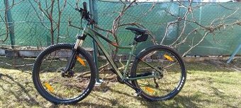 Merida. Matts