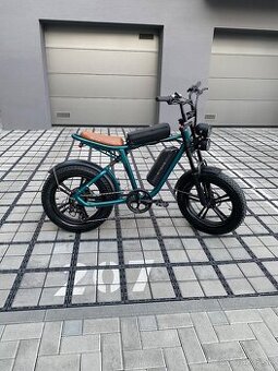 ENGWE M20