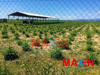 Predaj: MAXEN,Pozemok 12952 m2, vrátane haly 400 m2 a admi
