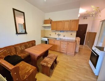 Zariadený 1 izbový byt ihneď k nasťahovaniu  - 1