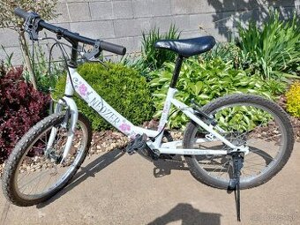 Bicykel Neuzer