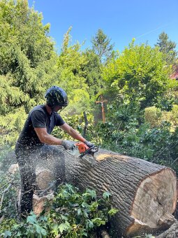 Arboristika - záhrada - dom