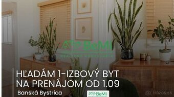 Hľadám 1-izbový byt na prenájom