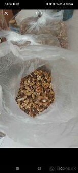 Orechy vlasske velke