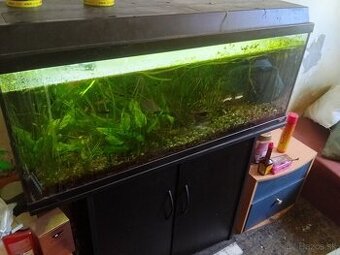 Akvárium juwel 120l