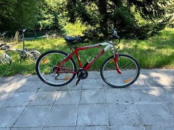 Author bicykel Damsky