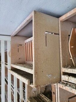 Budnik, budka, hniezdo pre postove holuby