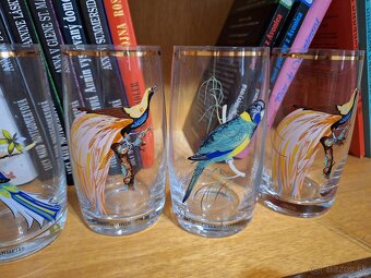 Sada poháre vtáky retro