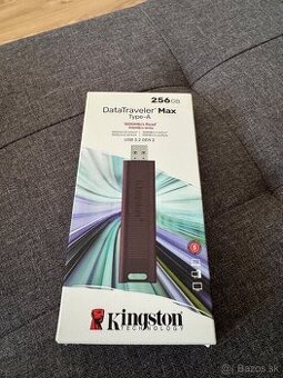 Kingston USB type-A dt max 1000r/900w 3.2 gen Dtmaxa/256 GB - 1
