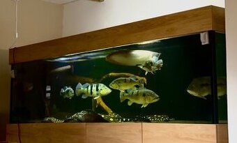 Predám akvárium komplet