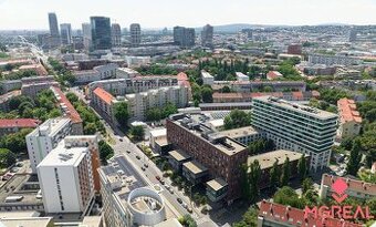 Reprezentatívne priestory 360m2, Viktória, Nivy