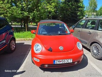 Beetle