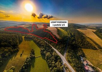 Rokycany – 125.140 m2 LESNÝ POZEMOK v podiele 1/1