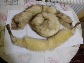 Strieborná líška - 1