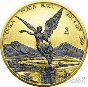Investicne striebro mince minca Libertad - 1