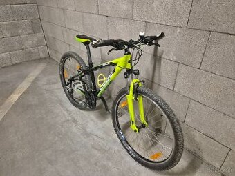 Cube Race 260