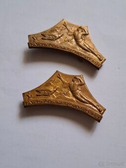 Sokolský odznak - Zájazd ČOS na Slovensko - 1921