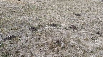 HALO reality - Predaj, rekreačný pozemok Nálepkovo, Zahájnic
