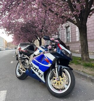 Suzuki TL1000R