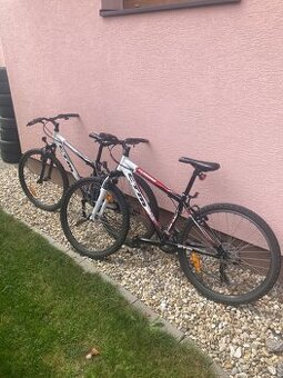 CTM Terrano 1.0 MTB, 26”kolá , 15” rám