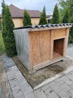 Predám psiu budú pre veľké plemená