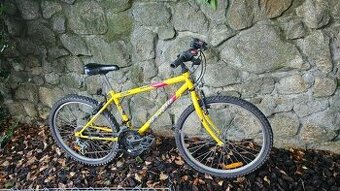 junior horský bicykel Vector