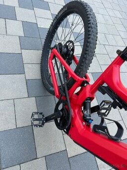 Riese & Müller Delite Rohloff 2020
