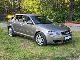 Audi A3 8P 1.9TDI 77KW BXE bez DPF - 1