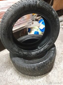 225/55 r17 zimné pneumatiky