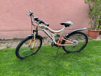 Bicykel
