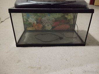 predam akvarium terarium , akvario, ryby, akvarium na ryby