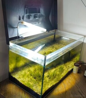Aquarium 600x 31x 30