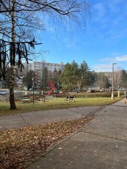 REZERVOVANÉ: garsónka, 19m2 na ul. Internátna, Fončorda - B.