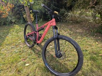 Canyon Neuron 5 L 2024