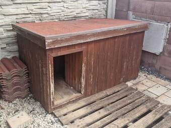 Buda pre vacsieho psa