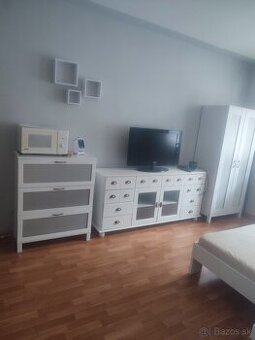 Na prenájom zariadená garsonka , Družba