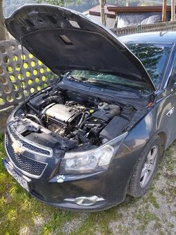 Cruze