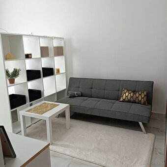 1izbový byt s klimatizáciou a parkovaním cena 470€komplet - 1