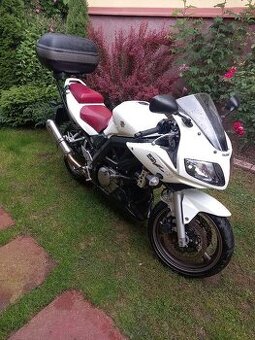 Suzuki sw 650s 2009