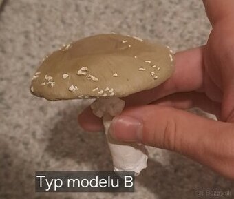 Modely hríbov, muchotrávka/muchotrávky