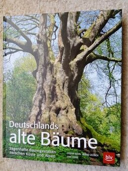 Deutschlands alte Bäume