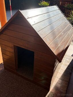 Búda pre psa