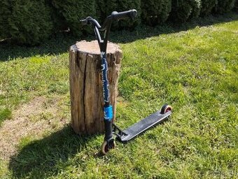 Kolebežka dominator