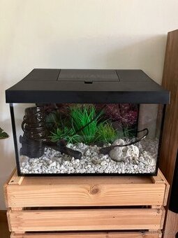 Akvarium/terarium Kosice
