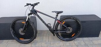Kellys gibon 10