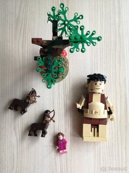 Lego Harry Potter 75967 Zakázaný les